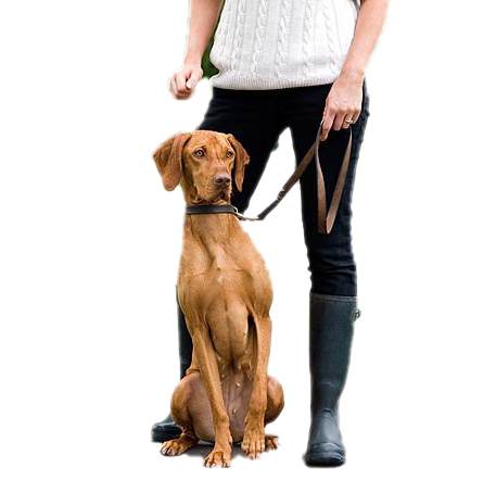 A person in a white sweater and dark boots stands with a golden-brown dog on a leash, isolated on a white background.