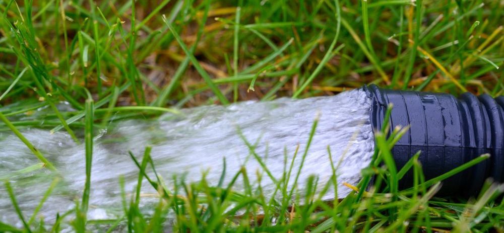 L'eau jaillit d'un tuyau noir et s'écoule sur une parcelle d'herbe verte.