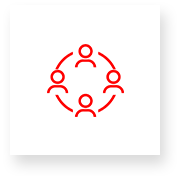 Icona - Professionalità