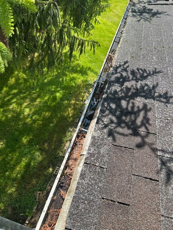 A close up of a gutter on a roof with a tree in the background.