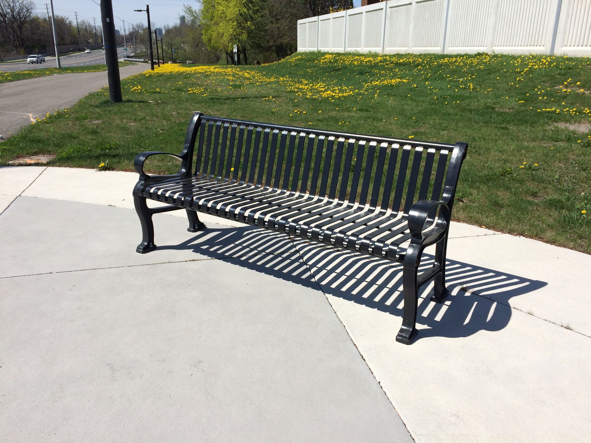 Alumni Bench