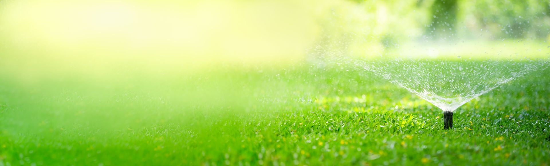 a sprinkler is spraying water on a lush green lawn in suffolk county