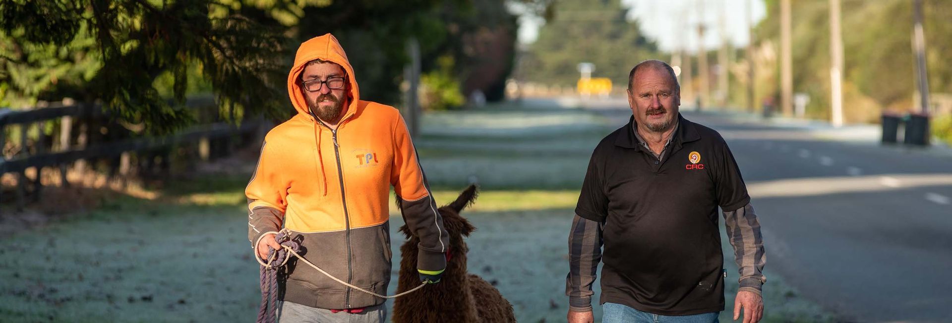 Two men are walking a llama down a street.