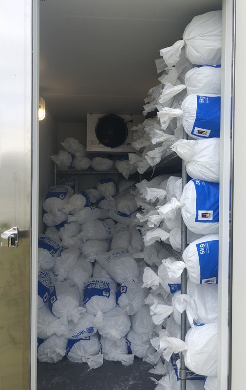 Ice Bags within a Cooler room freezer