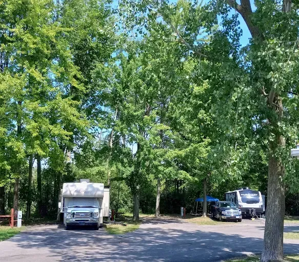 Campground scene with RVs parked under green trees, sunny day.