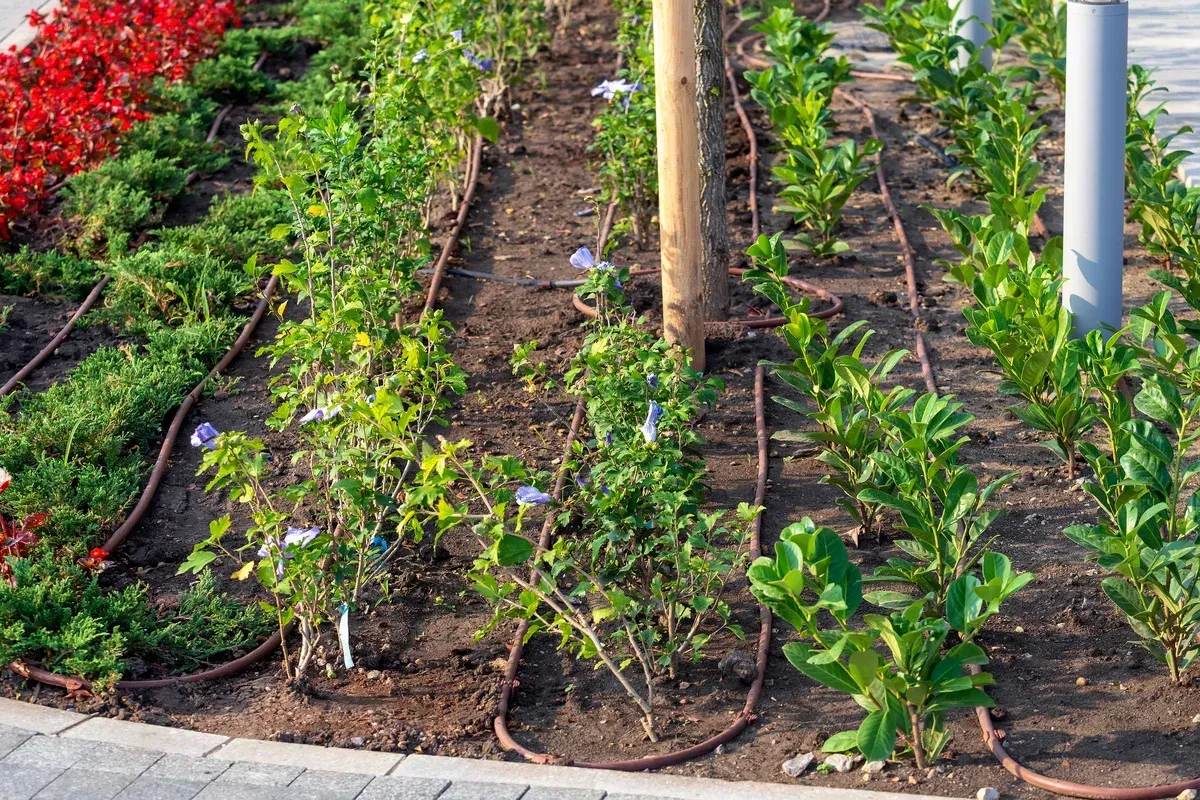 irrigation systems in prairie grove ar
