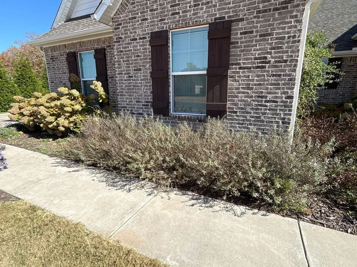 landscaping services in centerton ar