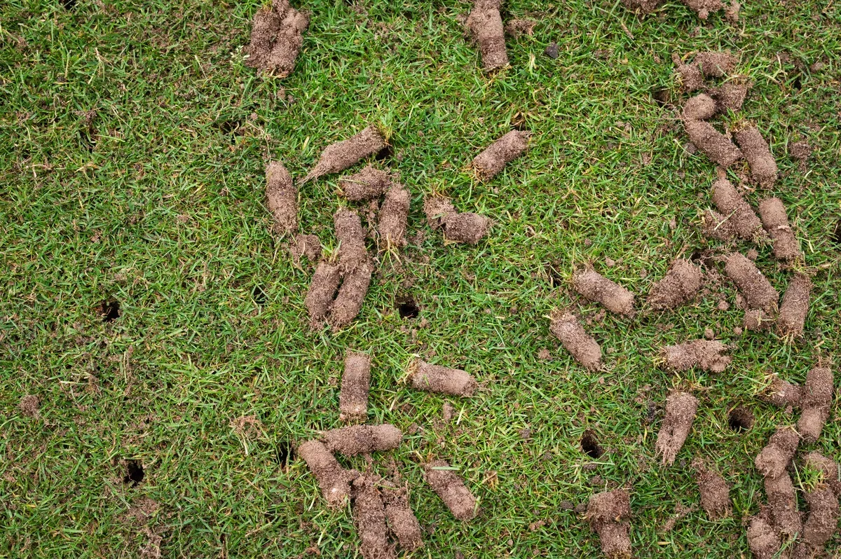 lawn aeration in springdale ar