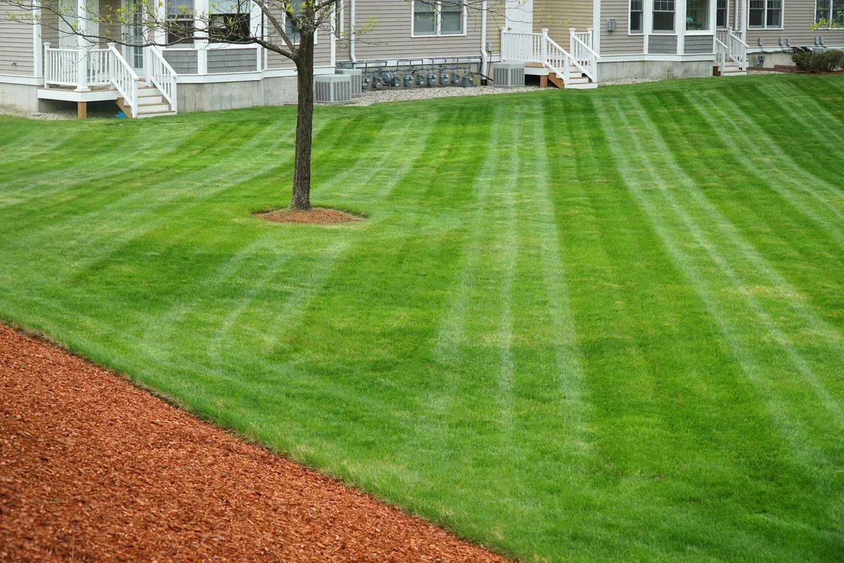 lawn care in bentonville ar