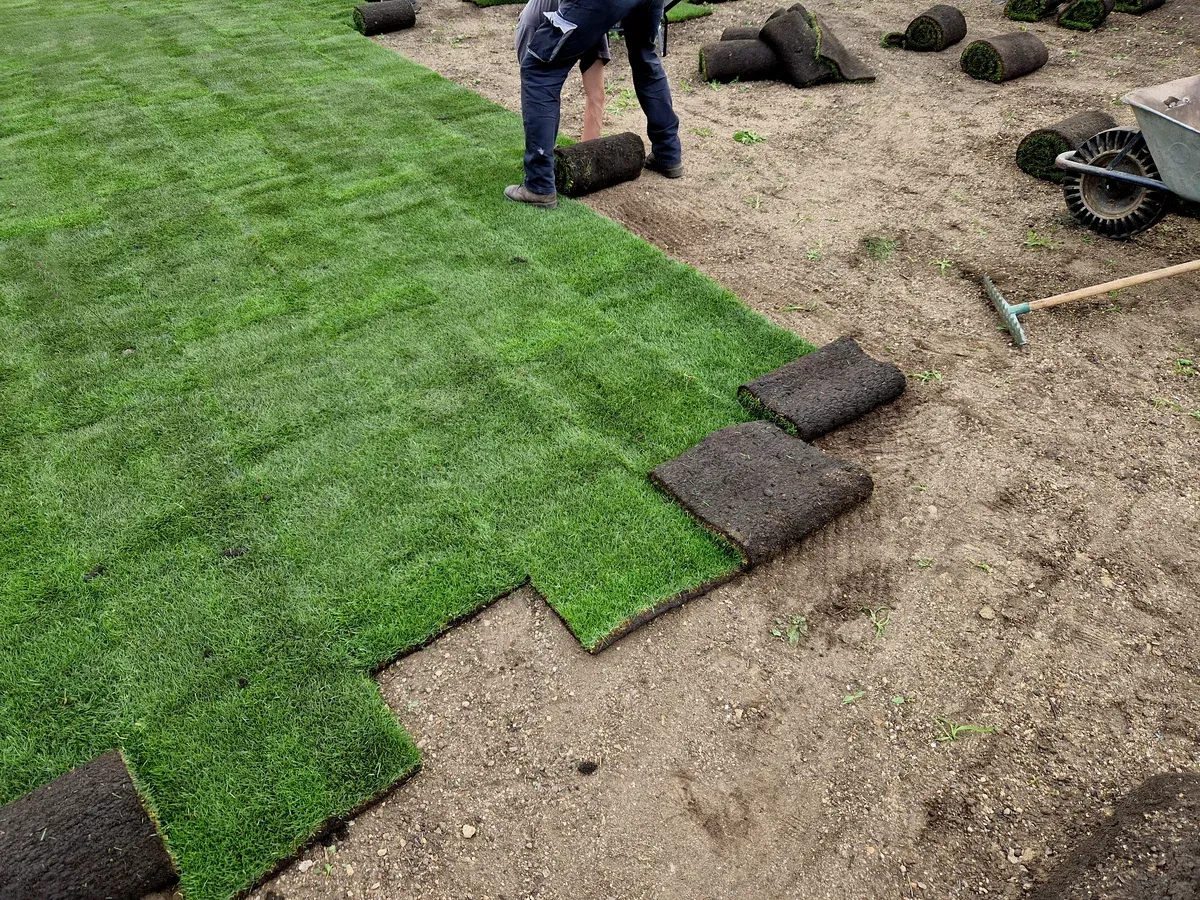 new lawn installation in springdale ar