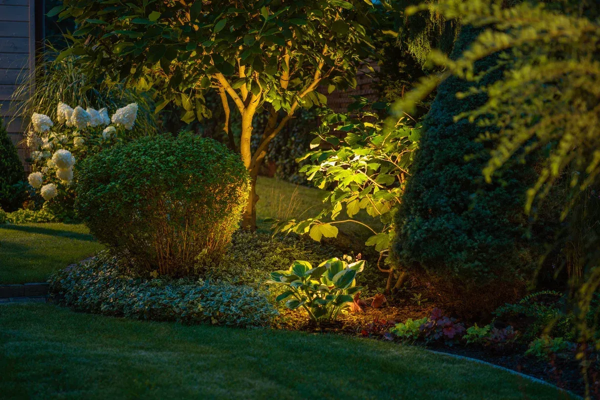 outdoor landscape lighting in springdale ar