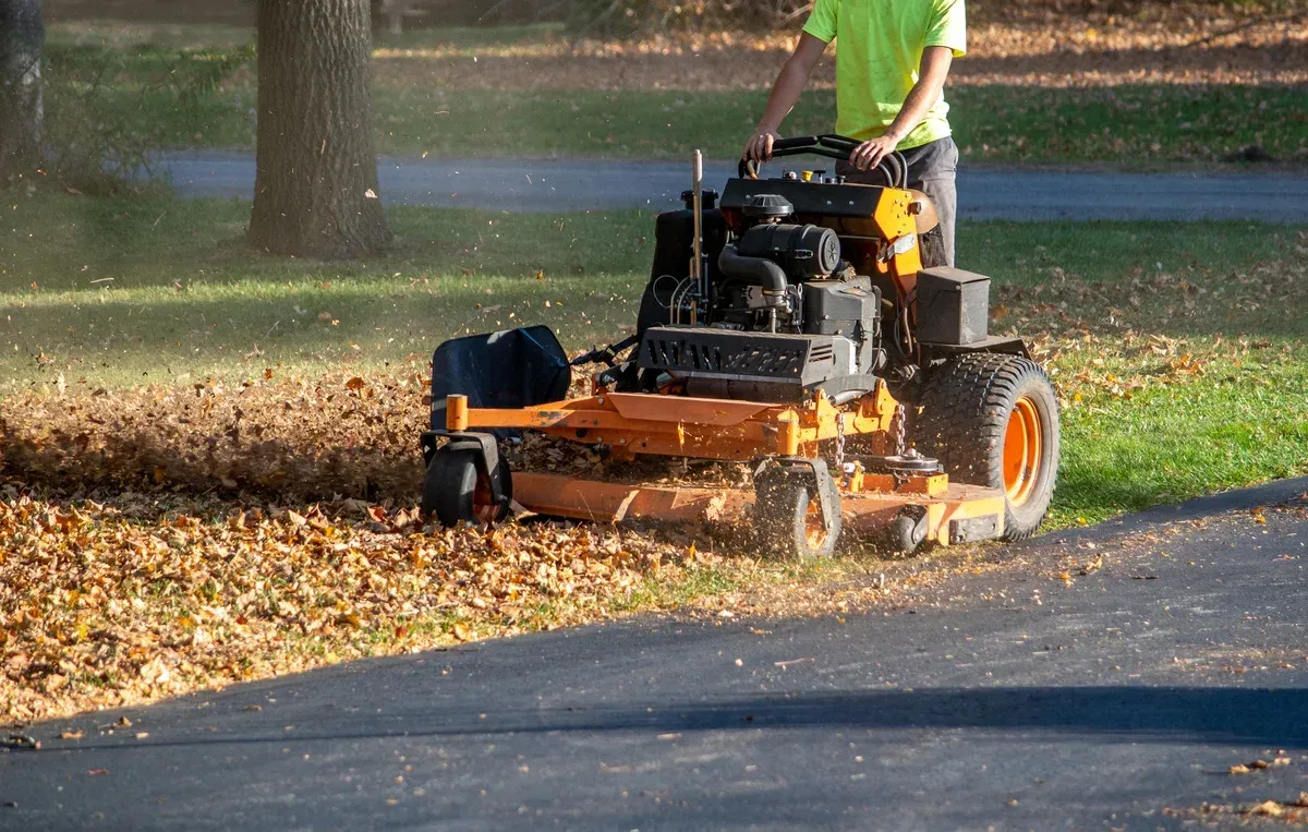 yard cleanup services in springdale ar