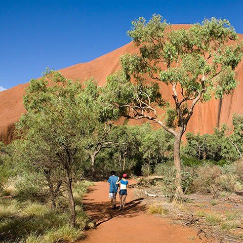 Ayers Rock Campground and Resort Community Tourism Tech