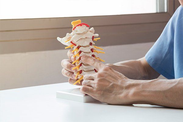 Spine Model — Grand Forks, ND — ChiroCenter One