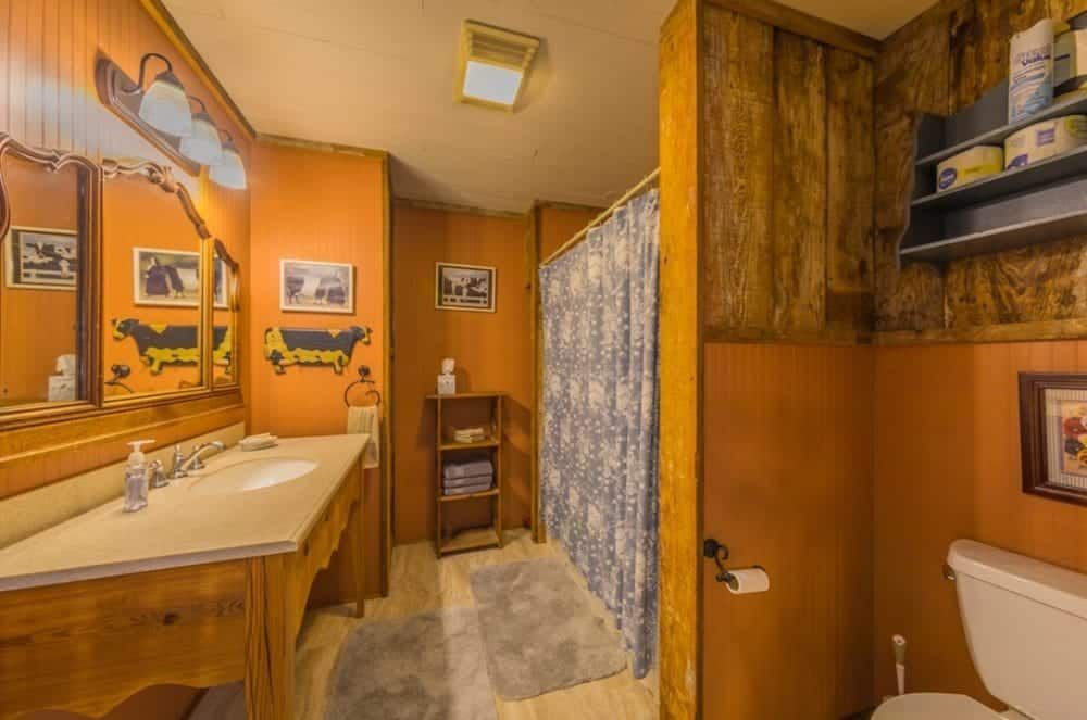 A bathroom with a toilet , sink , mirror and shower curtain.