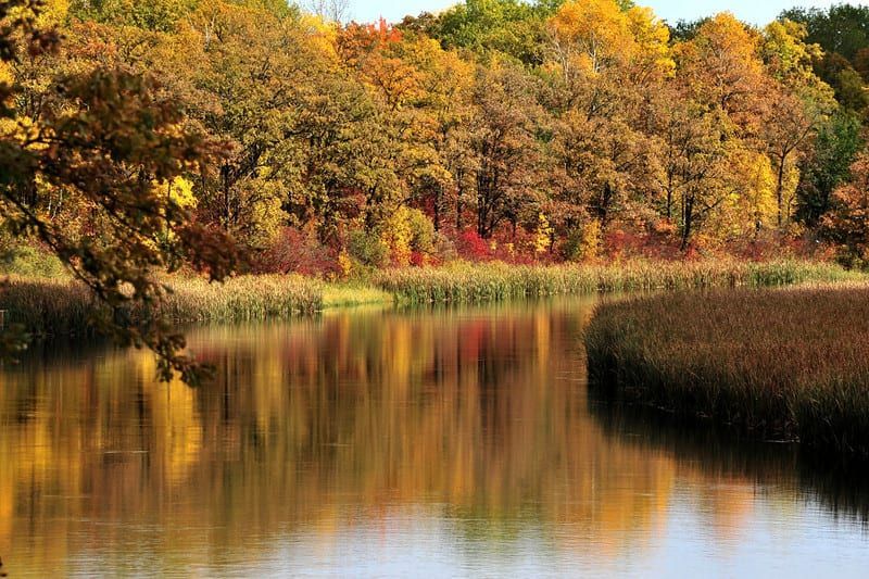 A lake surrounded by trees in autumn with trees reflected in the water