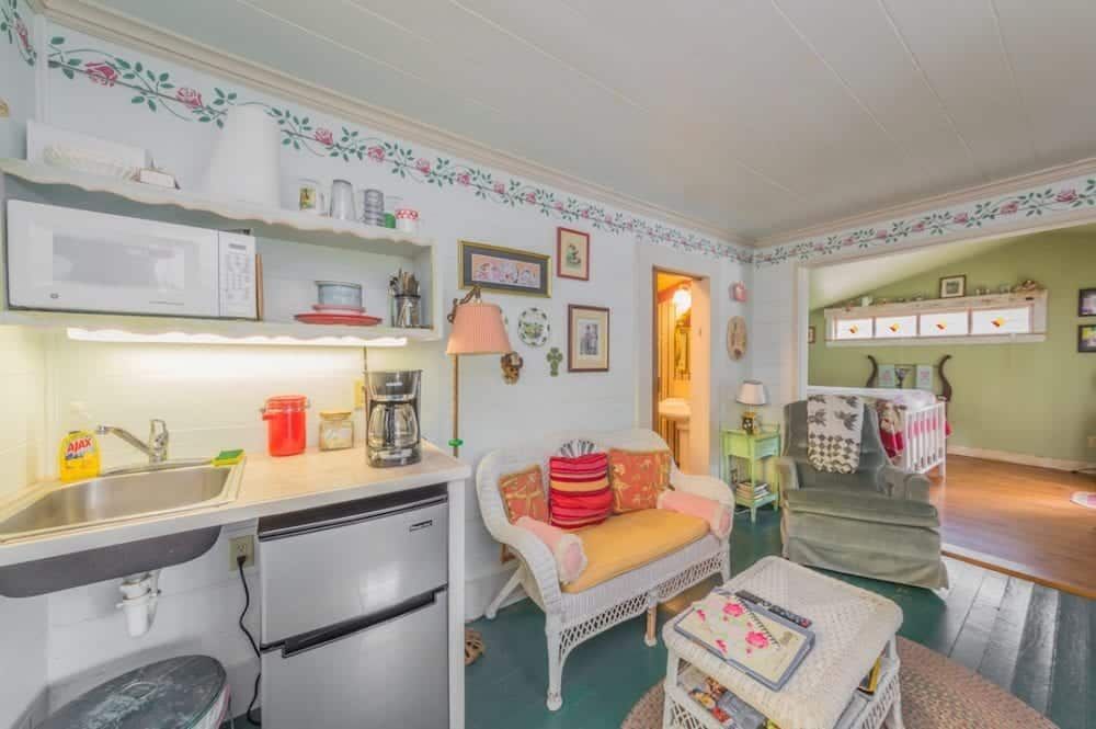 A living room with a couch , chair , sink and microwave.