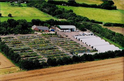 Aerial view of a farm with greenhouse rows, barns, and fields surrounded by green countryside