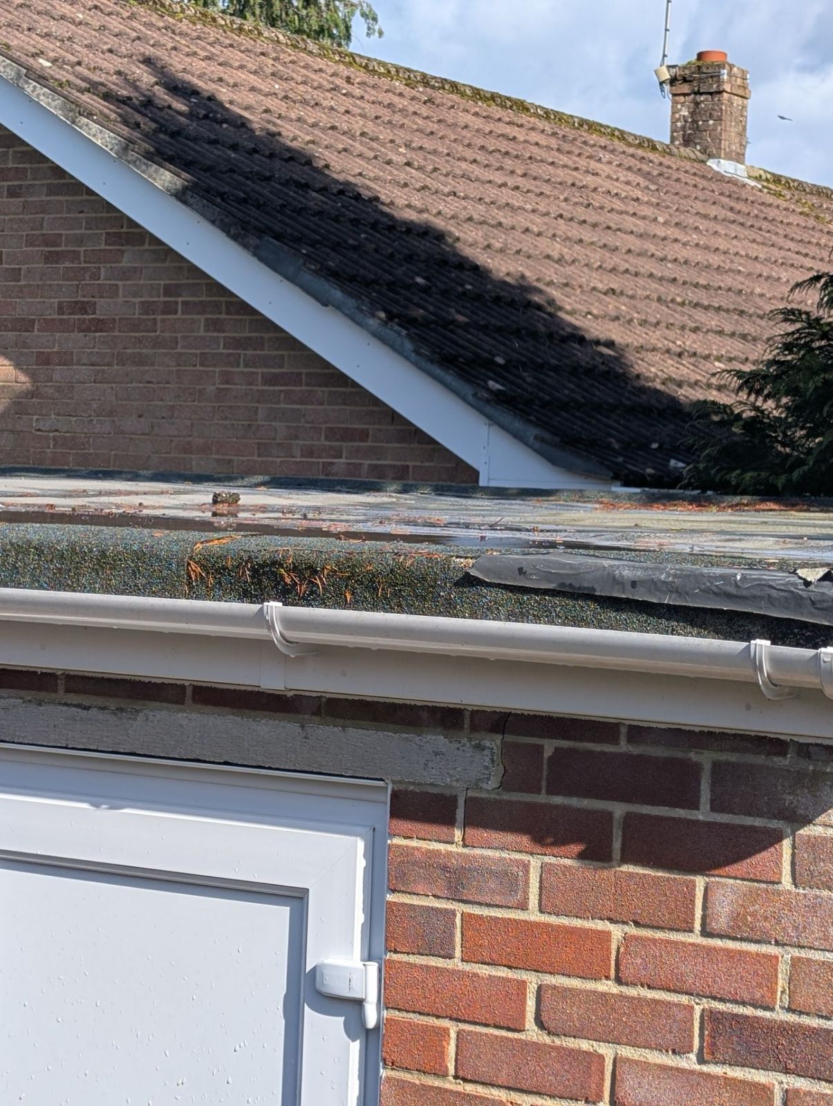 Roof with dark moss streaks on brown shingles above a brick wall and guttering