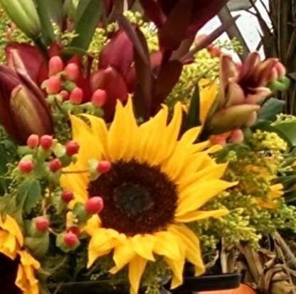 Sunflower with yellow petals and brown center, surrounded by red berries and other flowers.
