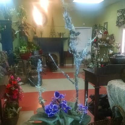 Flower shop interior with red and purple flowers, tables, and decorative accents.