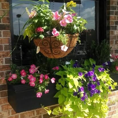 Hanging and window flower baskets with pink, purple, and green plants against a brick building.