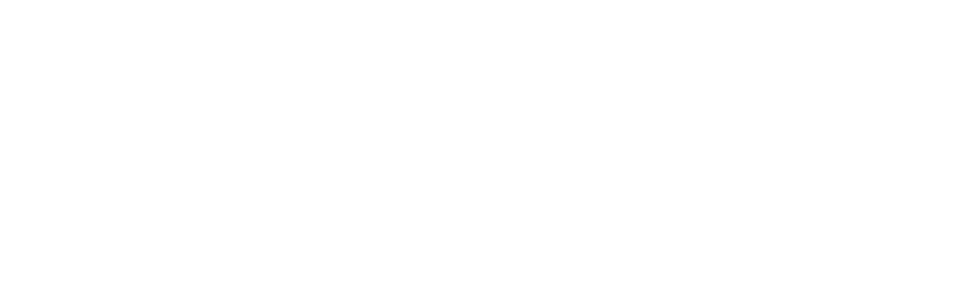 Mindful Insurance Solutions