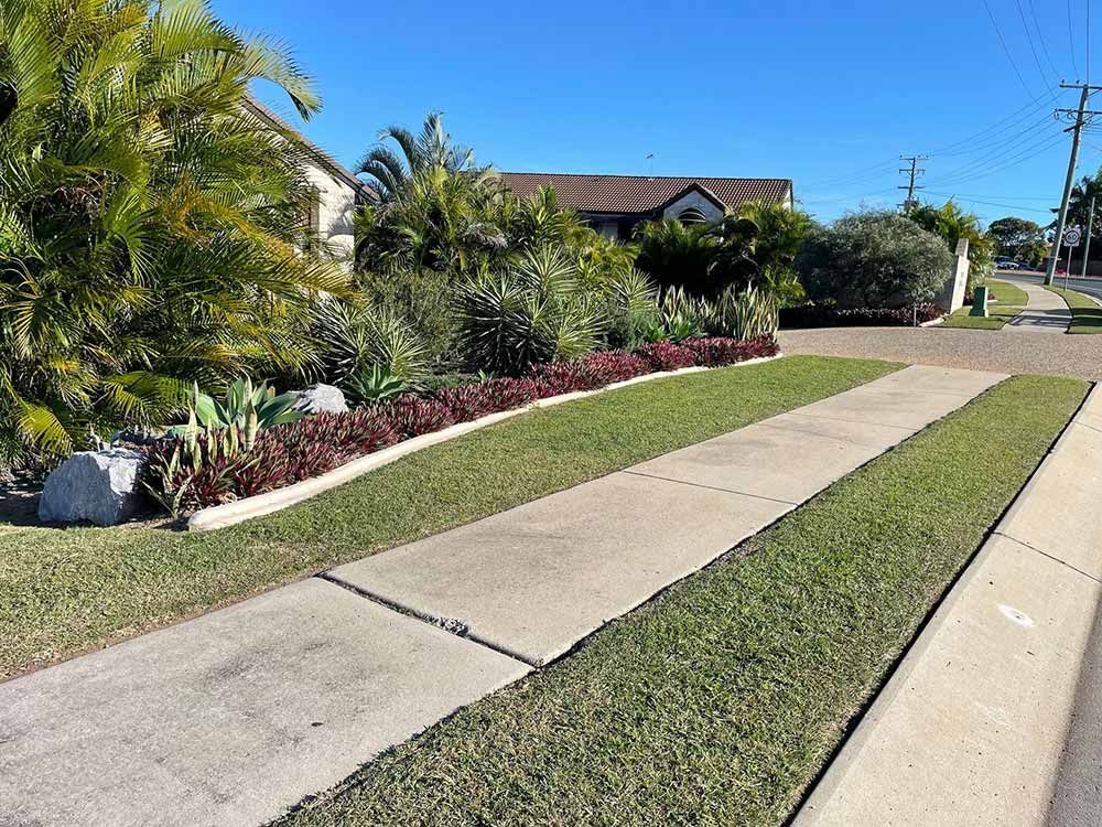 Sidewalk and plant — Landscaping in Gladstone, QLD