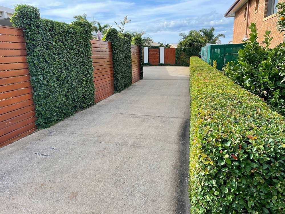 Sidewalk and plant — Landscaping in Gladstone, QLD