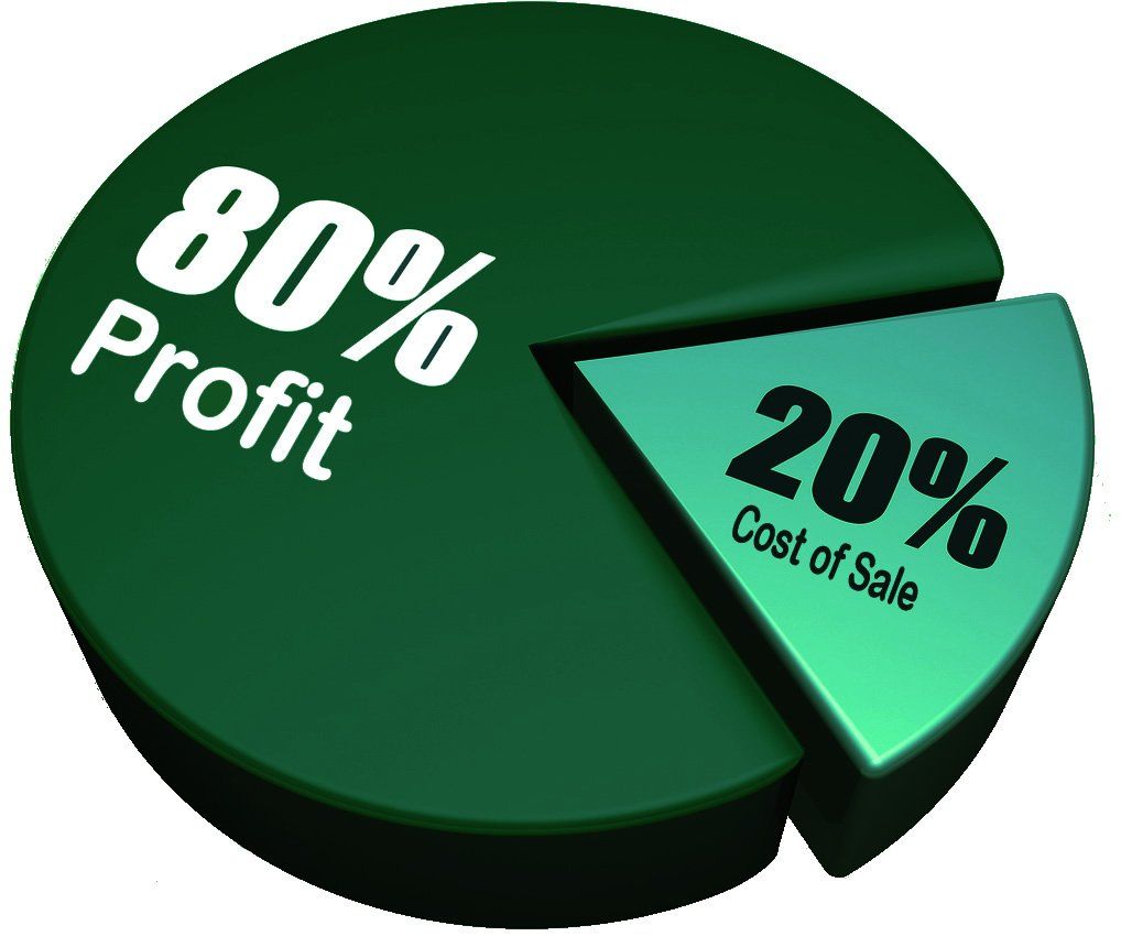80% 20% pie chart