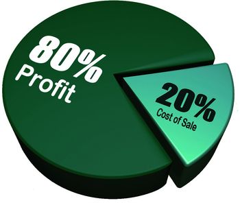 80% 20% pie chart