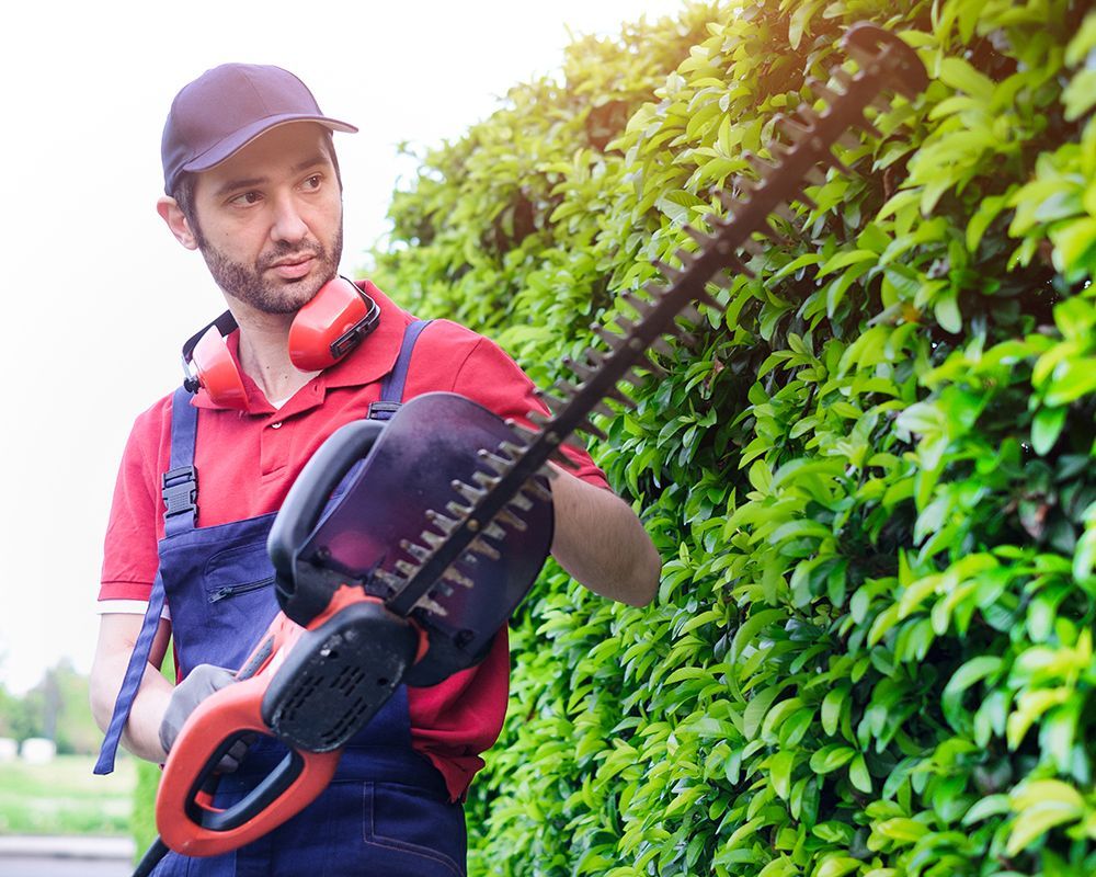 Professional tree trimming by J & B Professional Tree Service in Kalamazoo, MI, ensuring healthy and