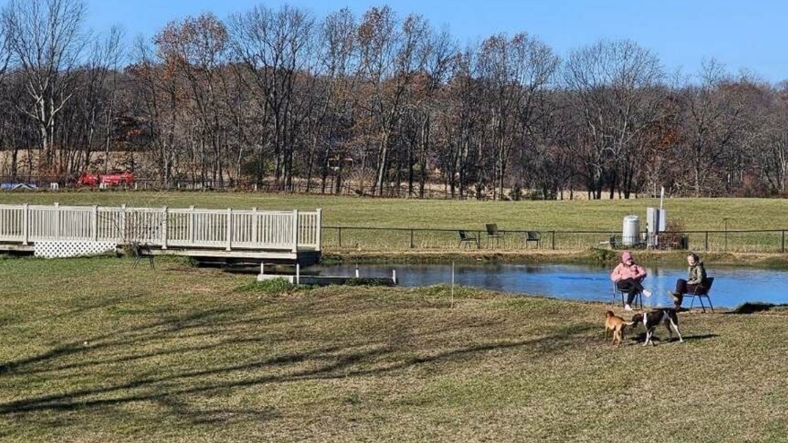 Grassy dog park with pond, wooden bridge, two people and two dogs. Bare trees under blue sky.