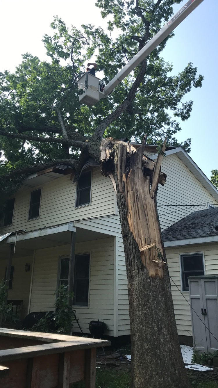 A tree damaged a house, a worker in a lift trims the tree.