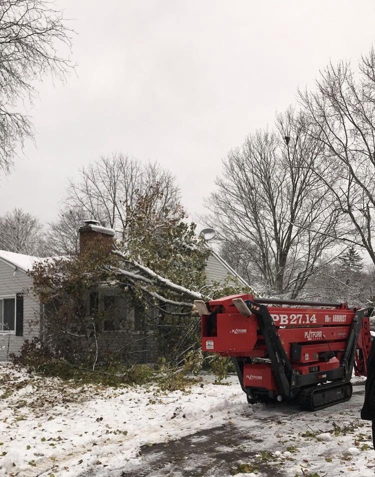 Snowy scene with a red mini-dumper clearing fallen tree limbs from a house; bare trees in the background.