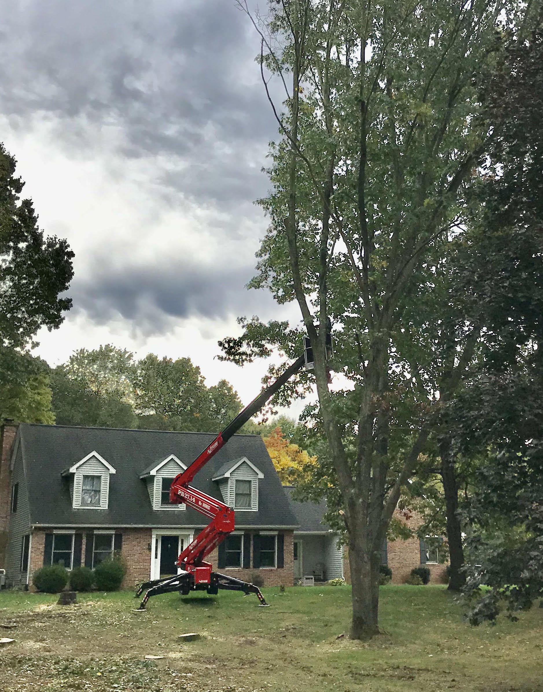 Client Project Gallery | Portage, MI | J & B Professional Tree Service ...