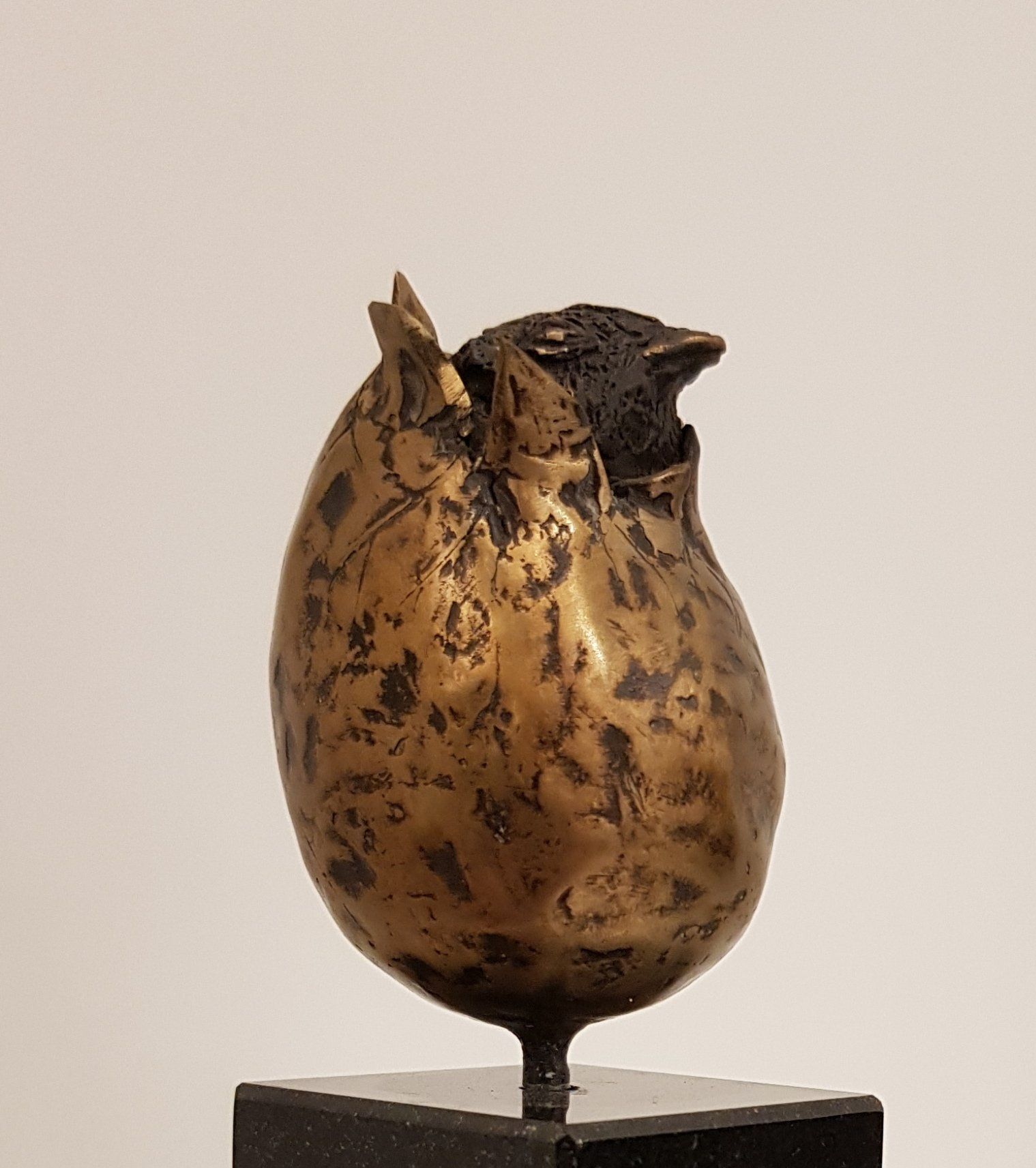 piepjong, welkom in deze wereld, nieuw geboren, nieuwe start