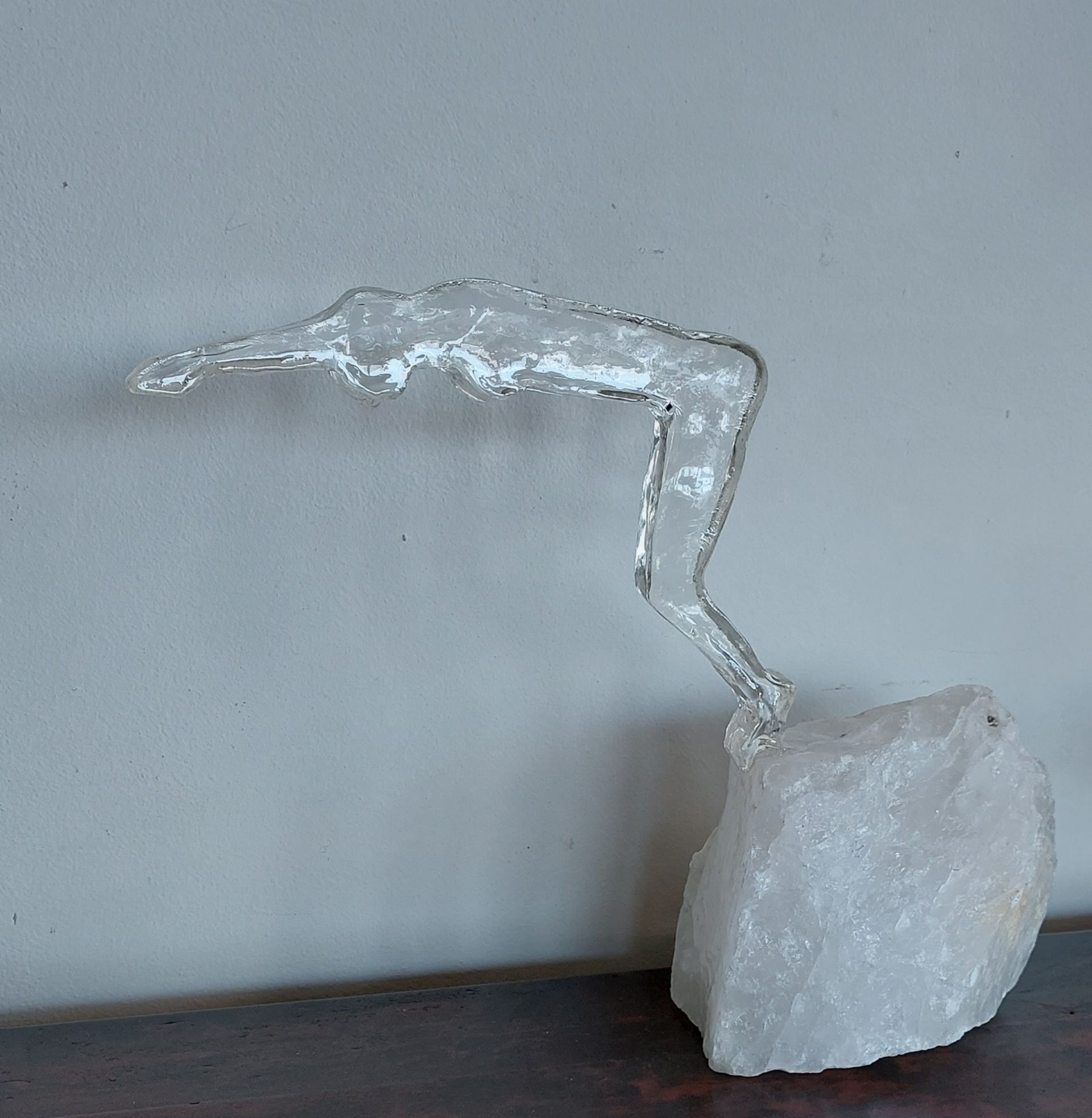 Kleine epoxy duikster, epoxy art