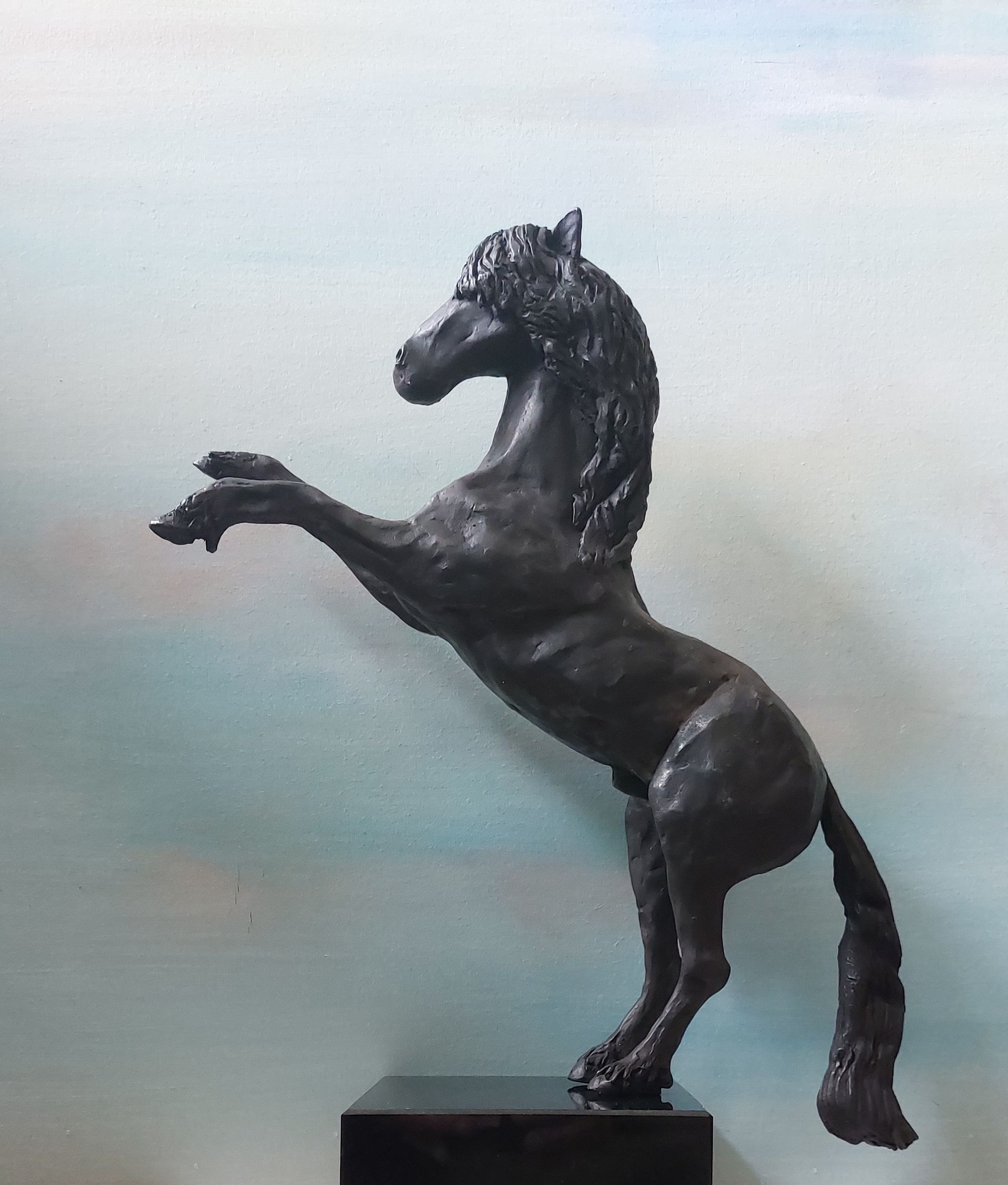 Black Pearl, Fries paard horse power, Frisian