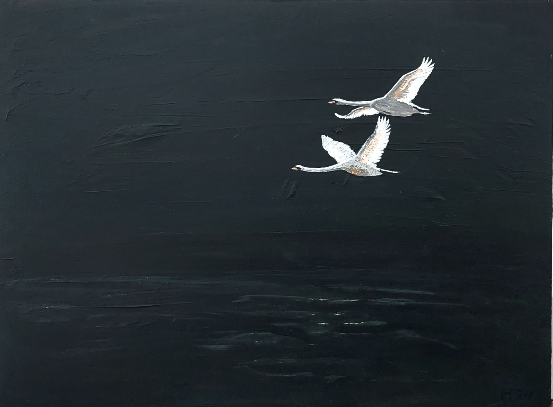 vliegende zwanen , zwanen, loyal , liefde, trouw