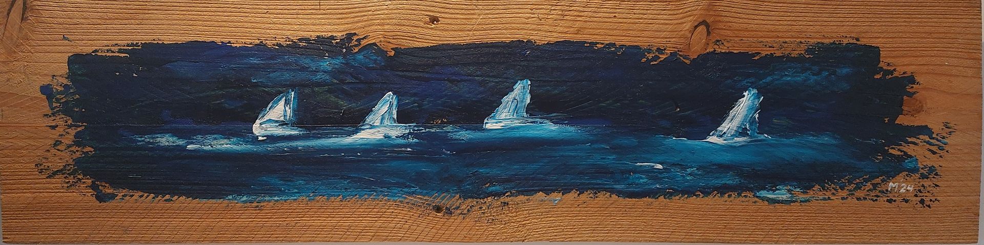 zeilen, zeilboten, in slecht weer, stormrondje, 