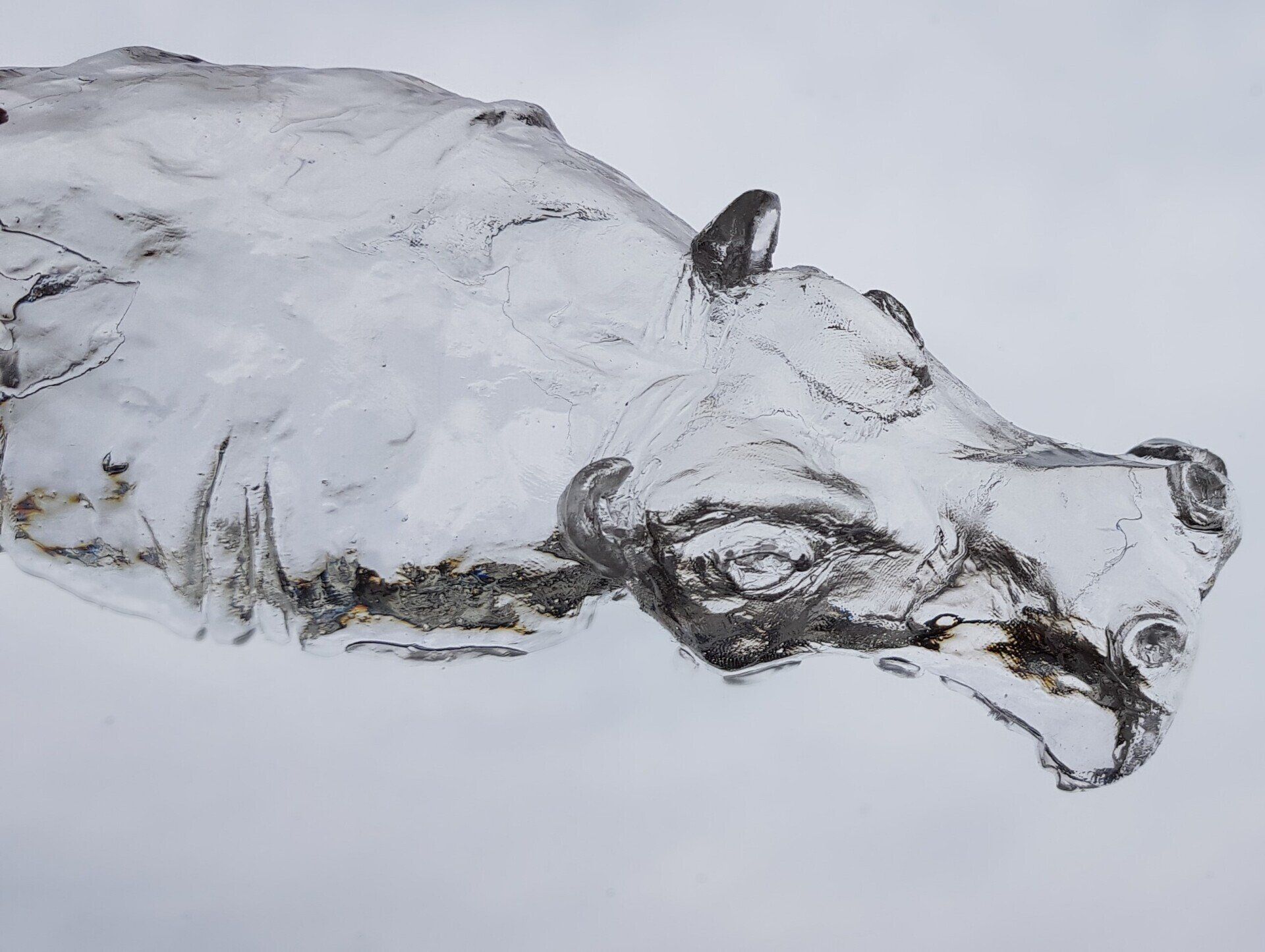 epoxy art for hippo lovers