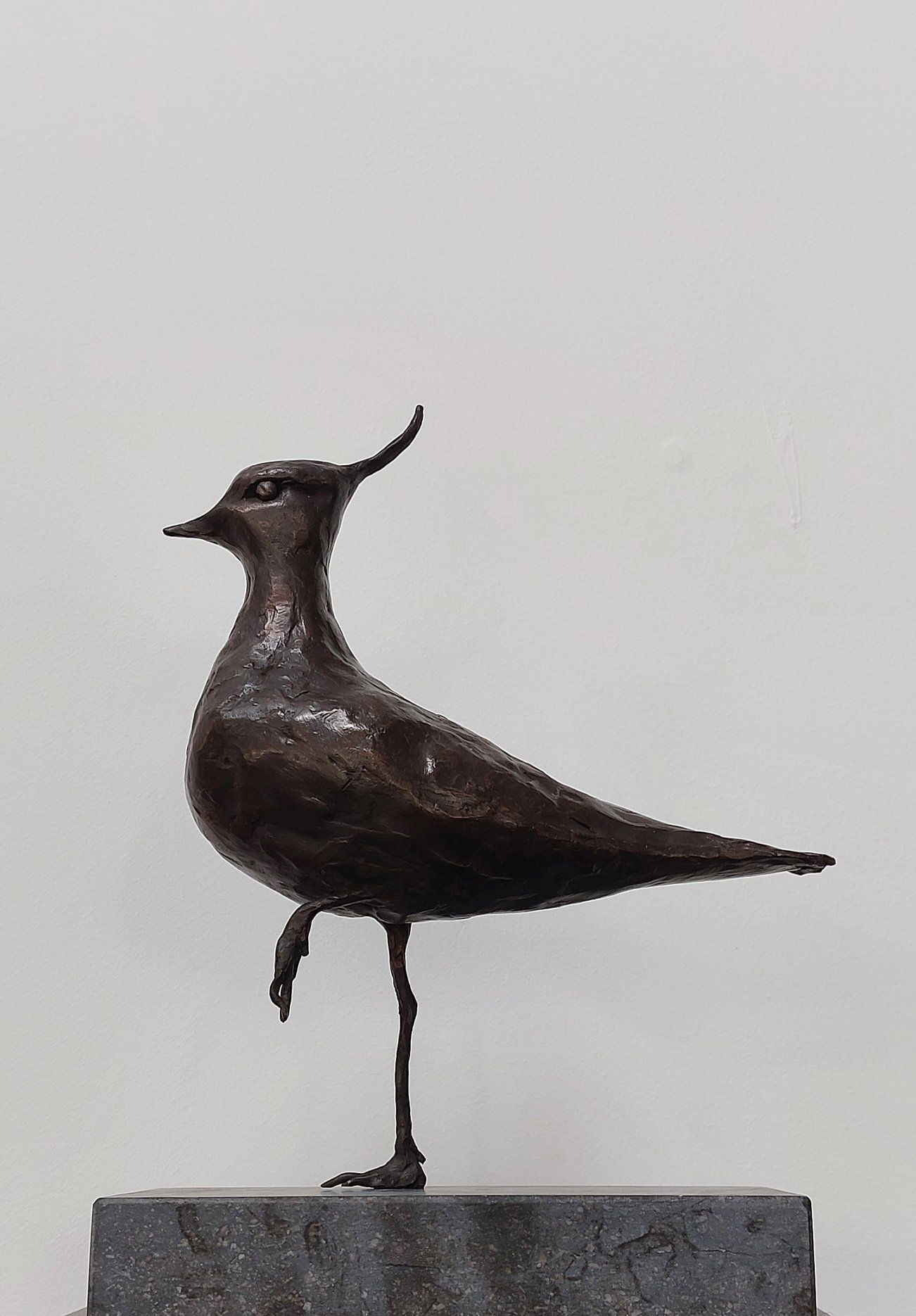 kievit, vanellus vanellus, brons, weidevogel, ljip