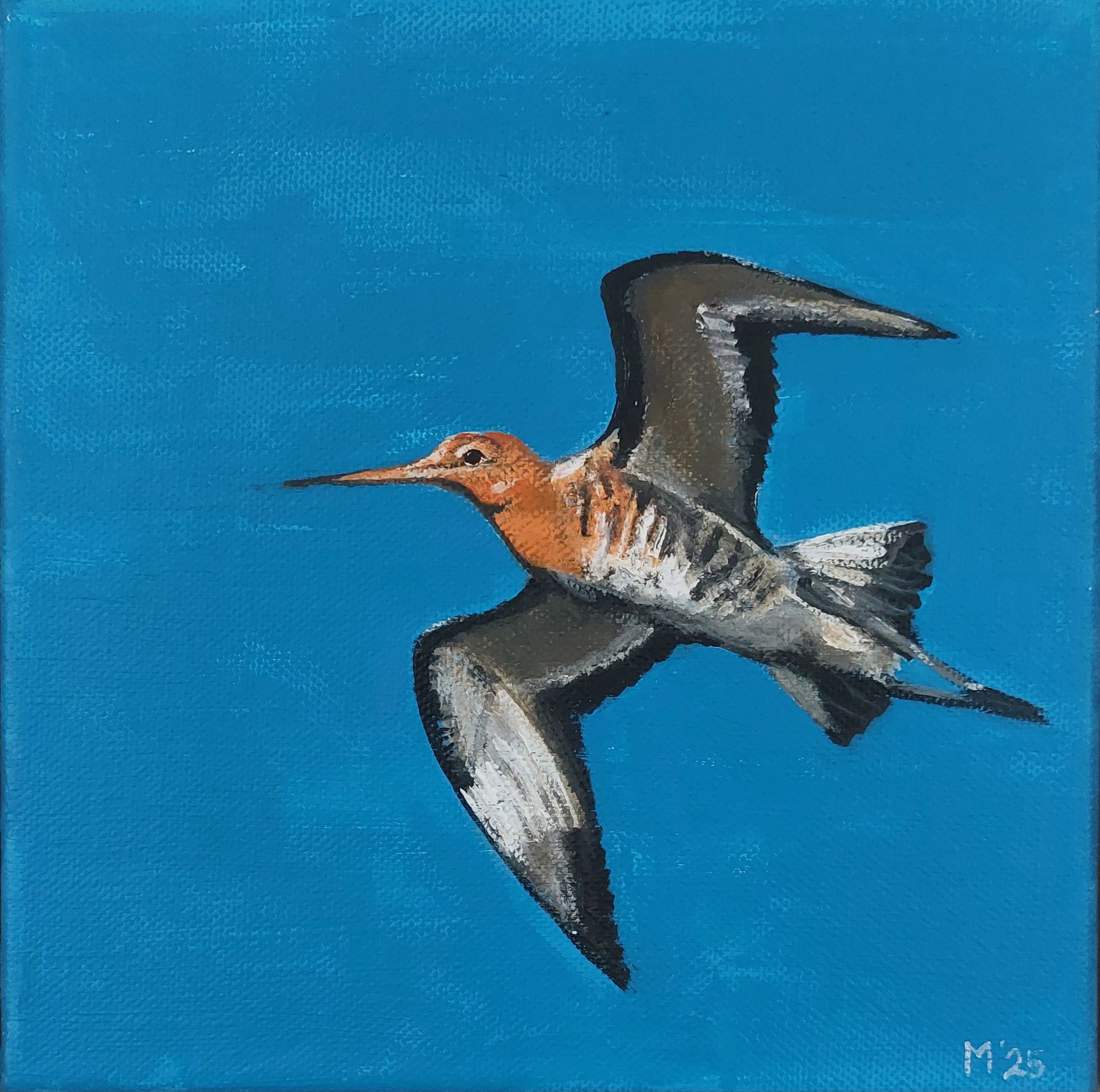 Grutto in de blauwe lucht, schilderij