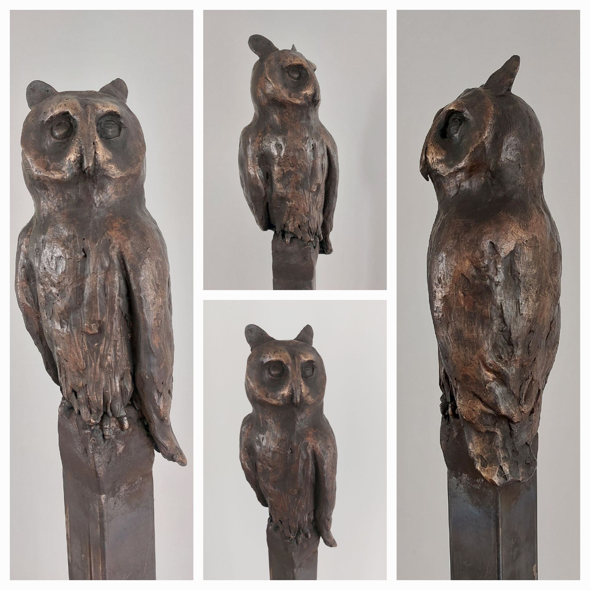 uil, ransuil, buitenkunst, bronzen beeld, gepromoveerd, diploma , bijzonder cadeau