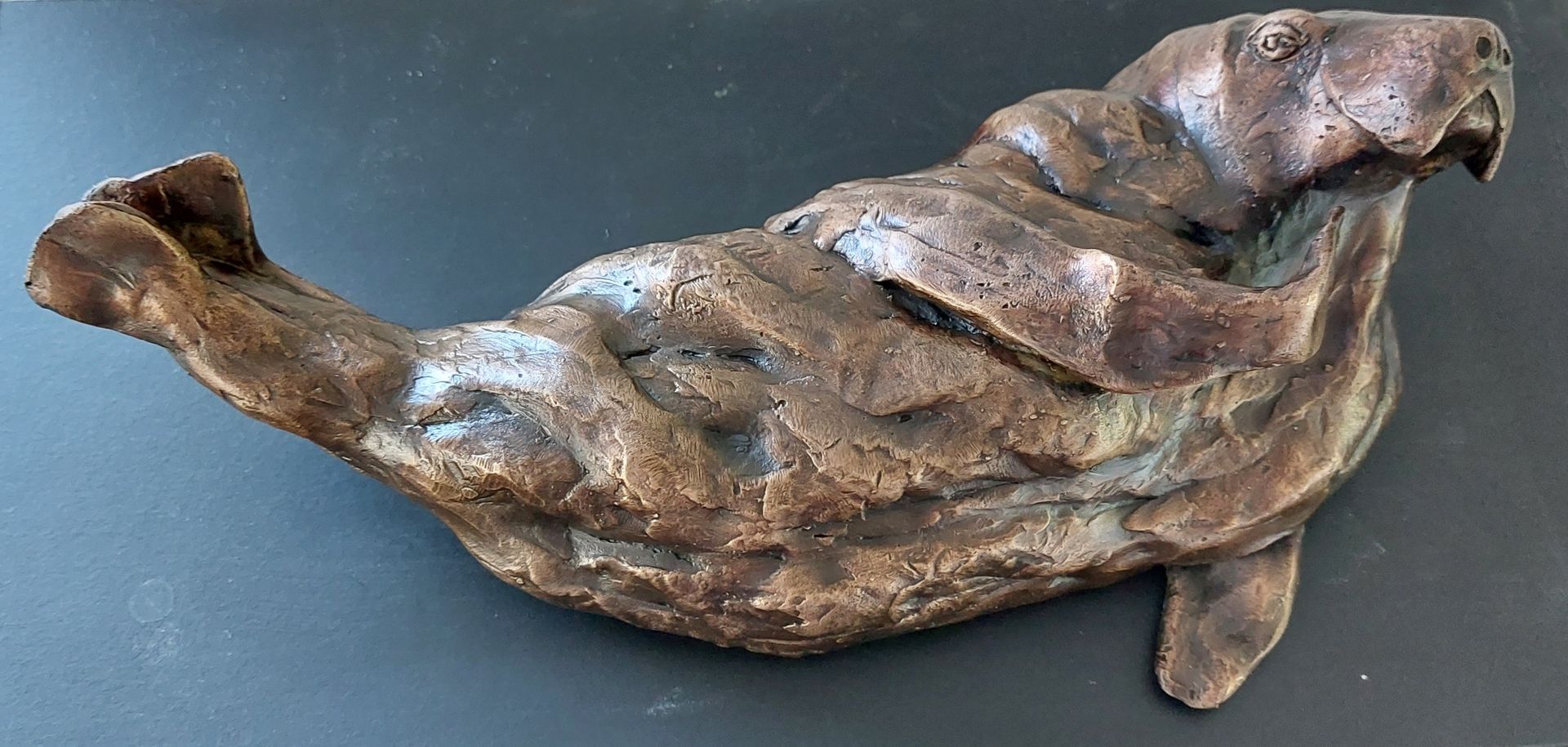 Walrus, brons, buitenkunst, kunst, verleiding, humor