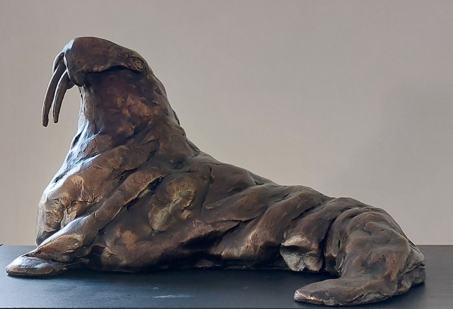 Walrus, brons, buitenkunst, kunst, stoer beeld