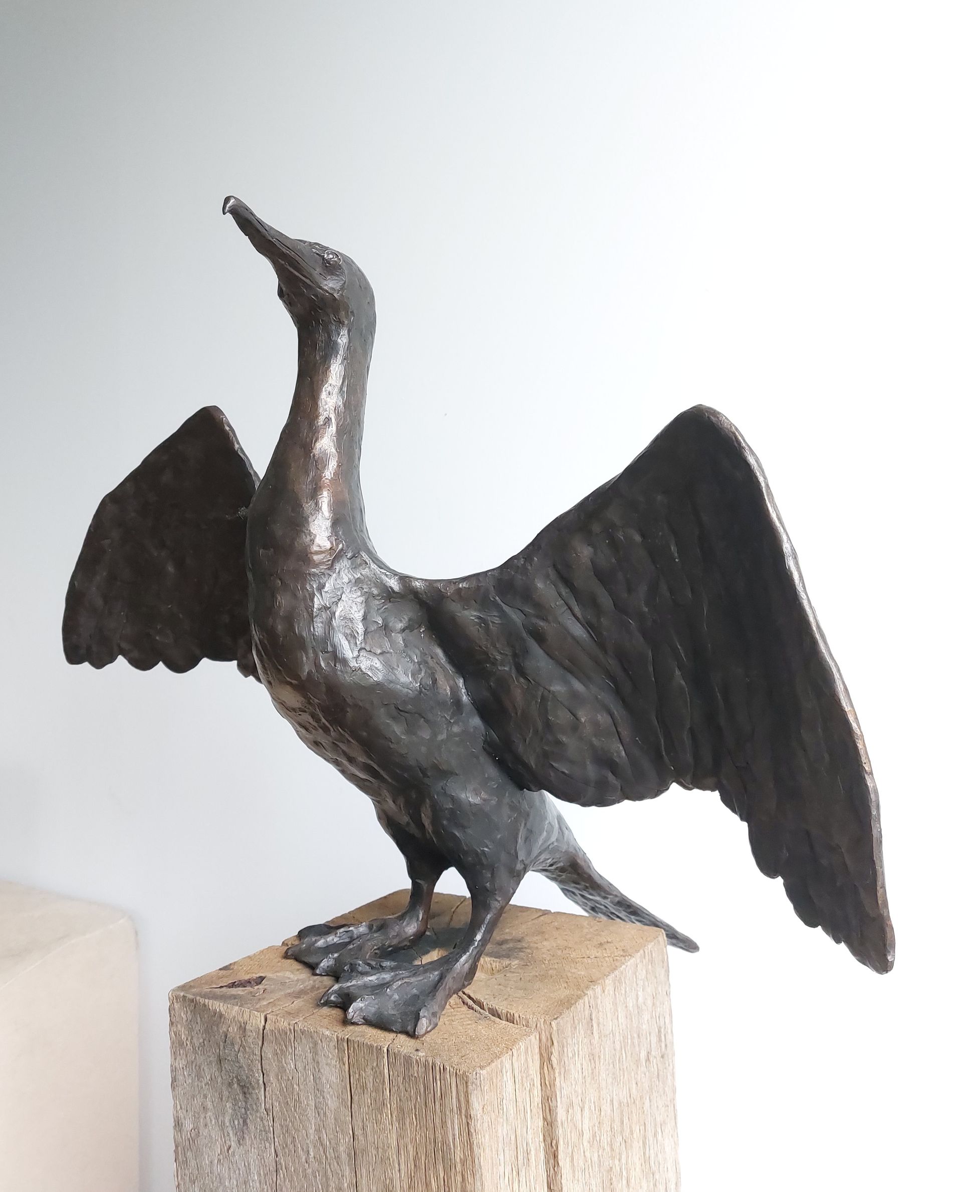 aalscholver, brons, ielgoes