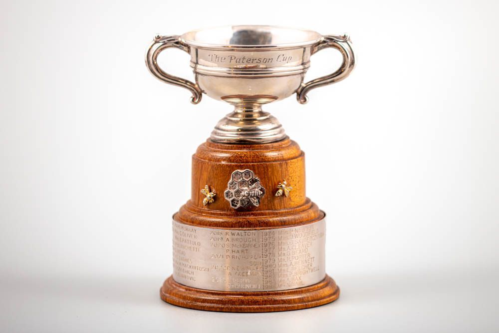 A silver trophy with a wooden base on a white background.