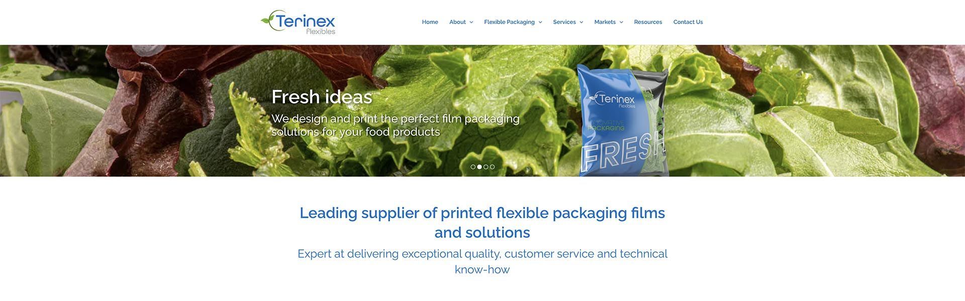 a landing page for a company called terinex flexible